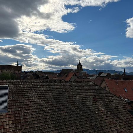 Colmar City Center - Appartement BELLE-VUE 4 étoiles Esterno foto